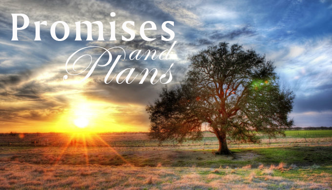 A Sunset on a Texas Farm